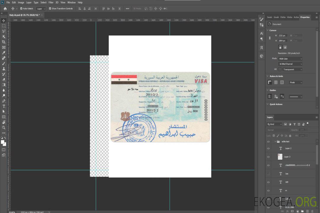 Visa SYRIE template